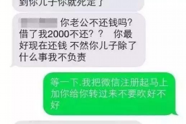 噶尔要账公司更多成功案例详情